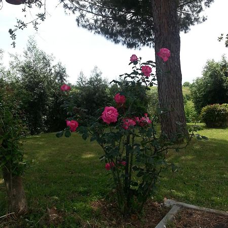 La Finestra Sul Cortile Bed & Breakfast Pomezia Exterior photo