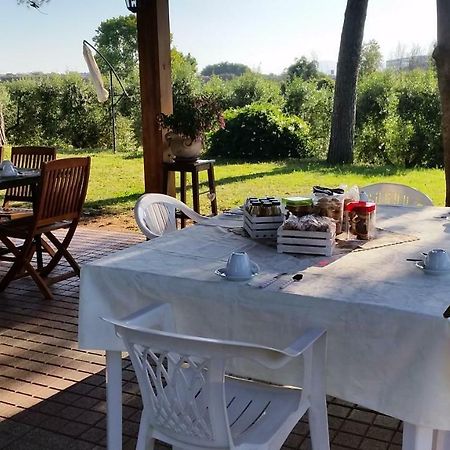 La Finestra Sul Cortile Bed & Breakfast Pomezia Exterior photo