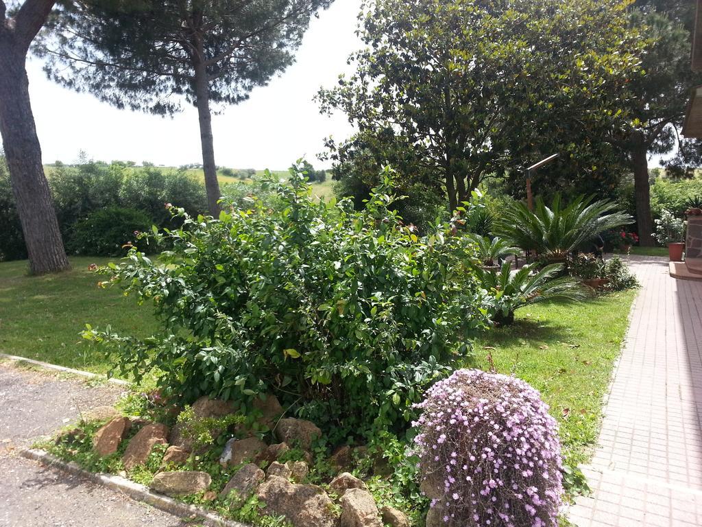 La Finestra Sul Cortile Bed & Breakfast Pomezia Exterior photo