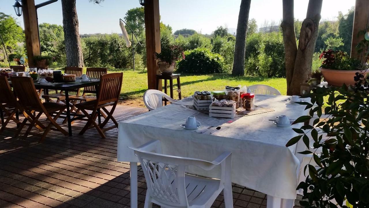 La Finestra Sul Cortile Bed & Breakfast Pomezia Exterior photo